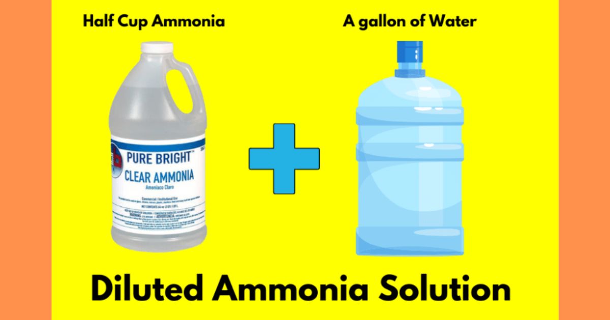 diluted ammonia solution